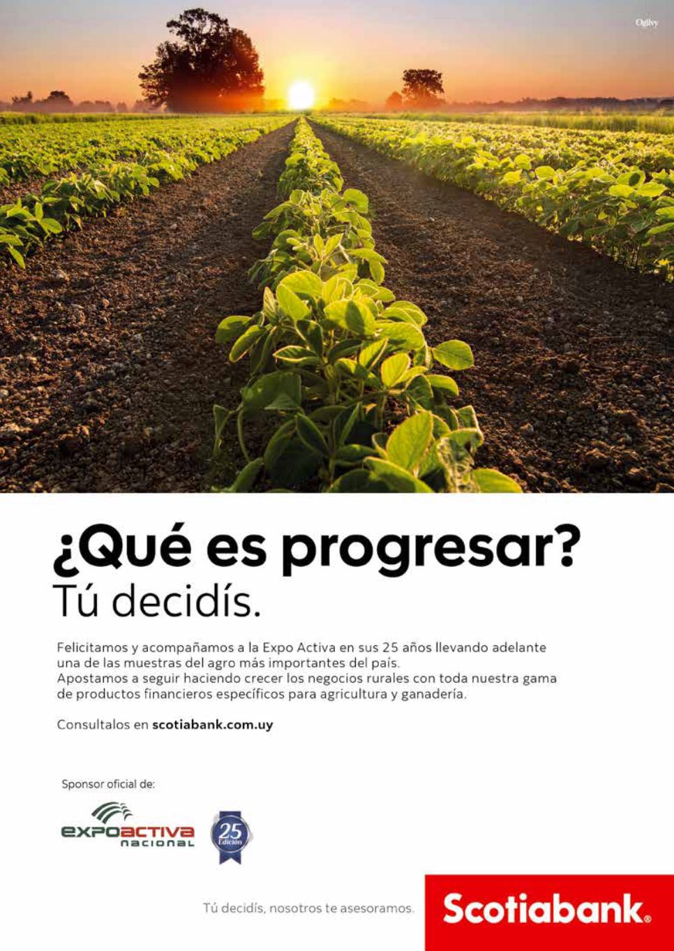 Revista Del Plan Agropecuario N° 173